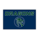 Load image into Gallery viewer, Dragons 3' x 5' Flag
