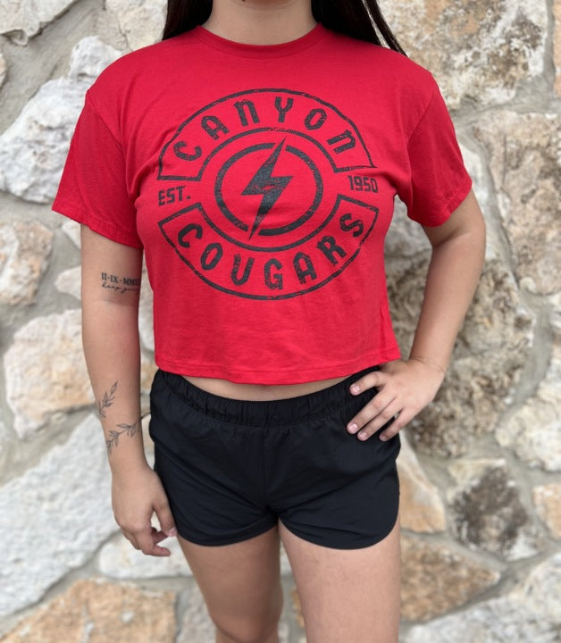 Canyon Circle Lightning Crop Tee